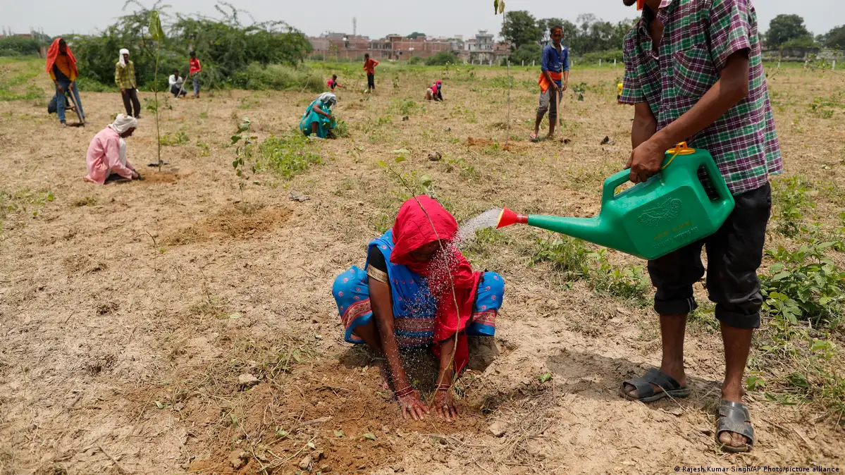 Tree Plantation Drive: Forest Minister Sanjay Sharma led a plantation campaign in Naugaon (Alwar), where over 100 saplings were planted to promote environmental protection.