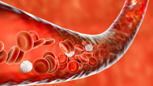 5 foods that can cleanse arteries and ...