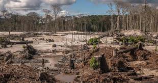 Brazil: Lula Should Urgently Address ...
