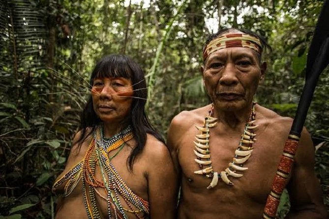 ‘Brothers in the Forest’: The Struggle to Protect One of the Amazon’s Last Isolated Tribes