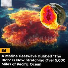 Mystery Heatwave Warms Pacific Ocean to New Record