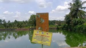 Brain-eating amoeba cases in Kerala ...