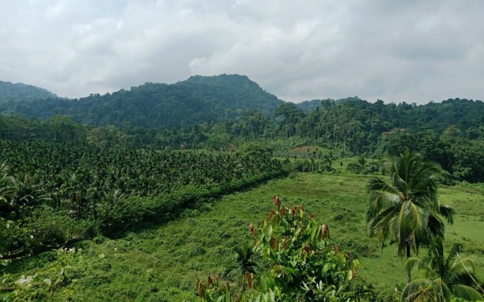 ग्रेट निकोबार प्रोजेक्ट पर रोक से इनकार: NGT ने बताया ‘रणनीतिक रूप से महत्वपूर्ण’